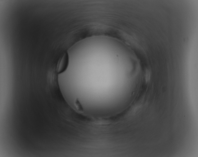 X0000100941059200807081230