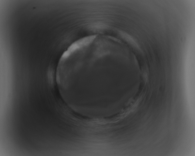 X0000100941060200807081230