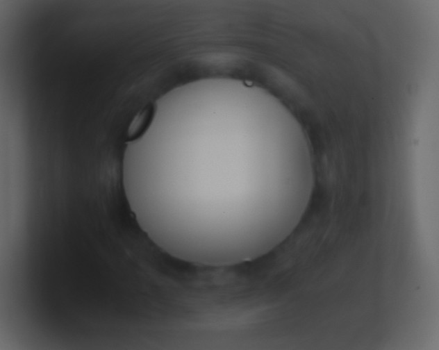 X0000100941061200807081230