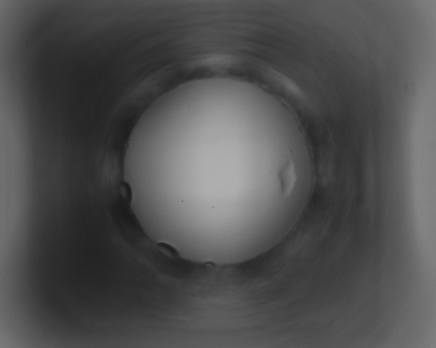 X0000100941062200807081230