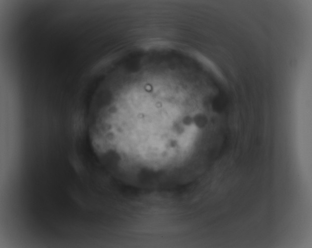 X0000100941063200807081230