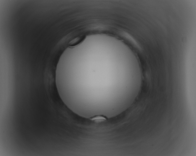 X0000100941064200807081230