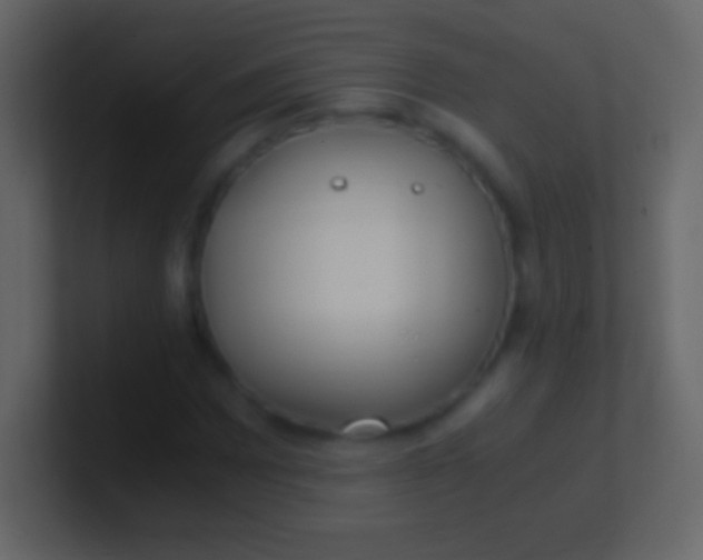 X0000100941065200807081230