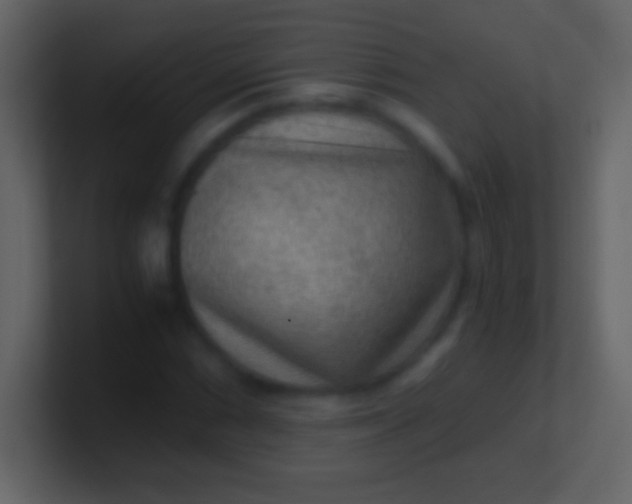 X0000100941066200807081230