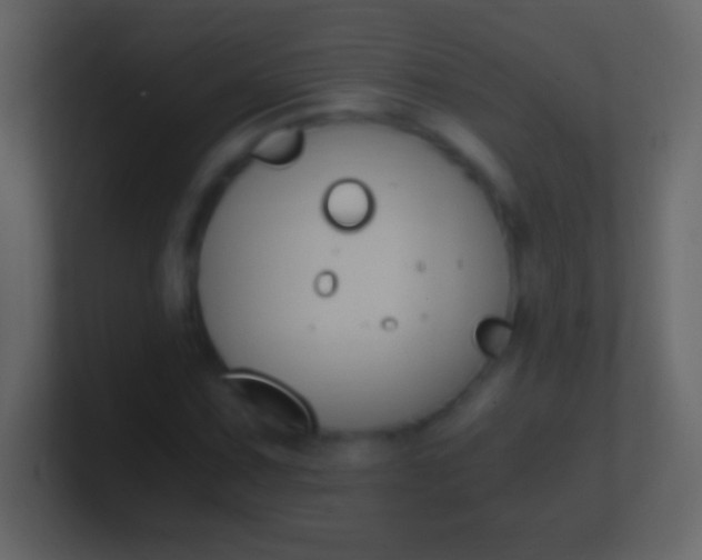 X0000100941067200807081230