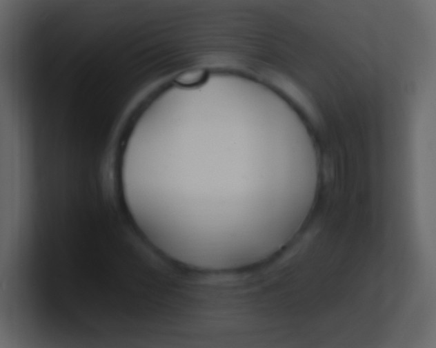 X0000100941068200807081230