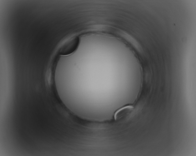 X0000100941069200807081230