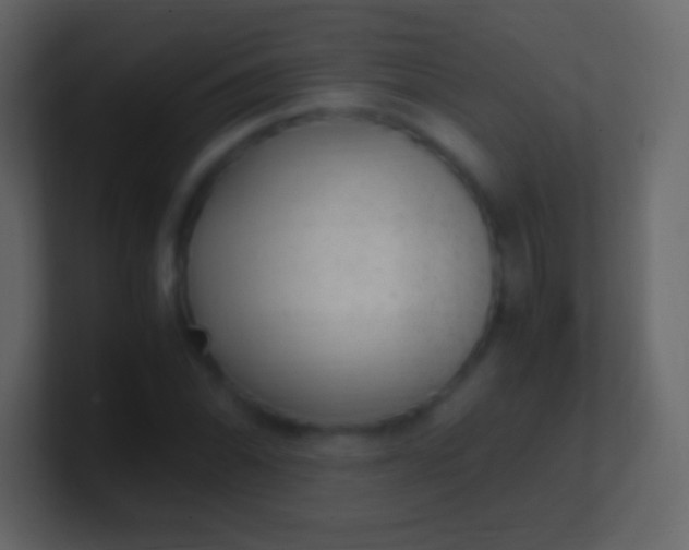 X0000100941070200807081230