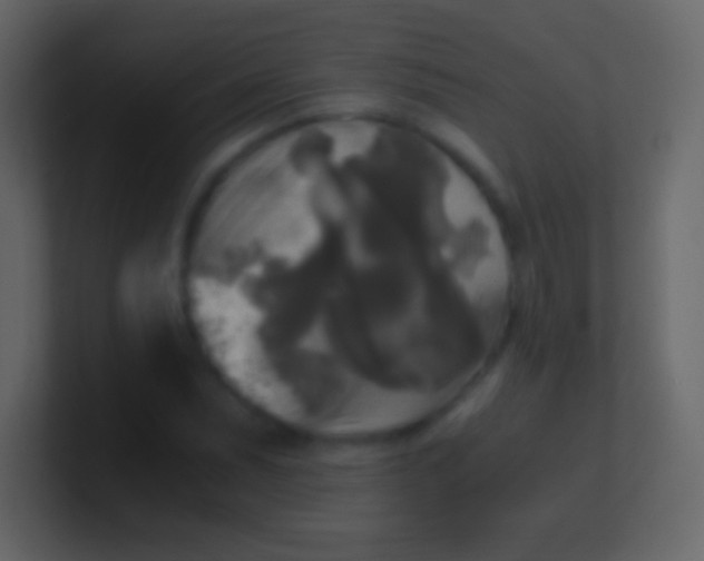 X0000100941071200807081230