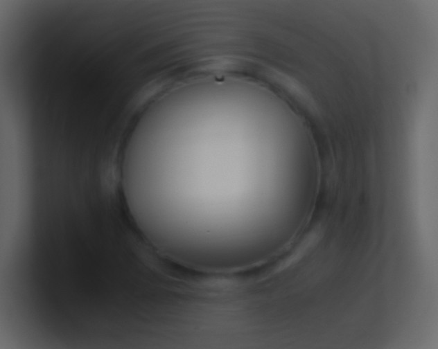 X0000100941073200807081229