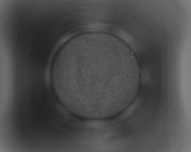 X0000100941074200807081229