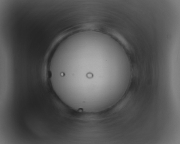 X0000100941075200807081229