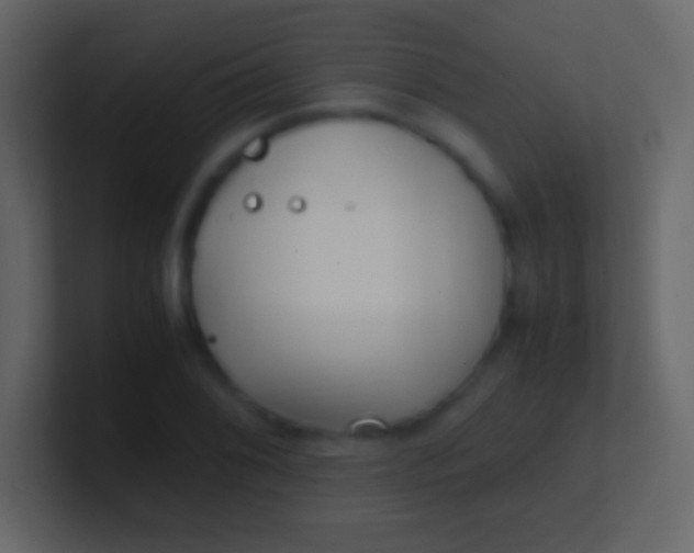 X0000100941076200807081229