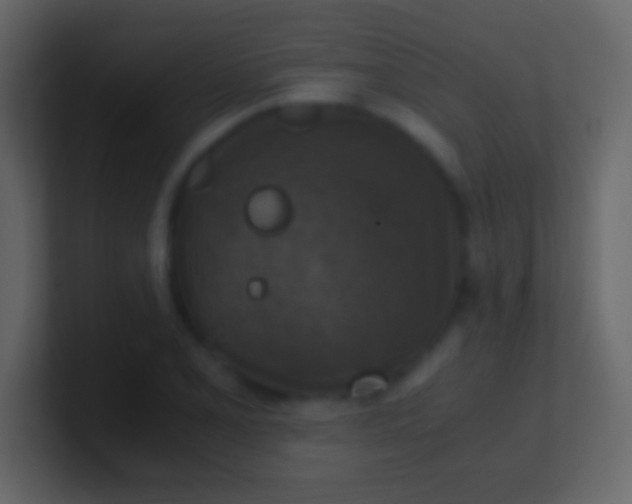 X0000100941077200807081229