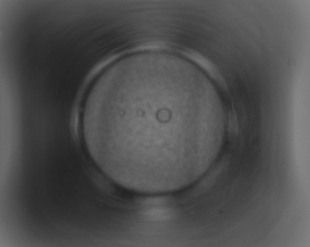 X0000100941078200807081229