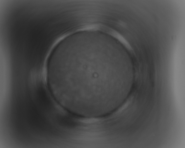 X0000100941079200807081229