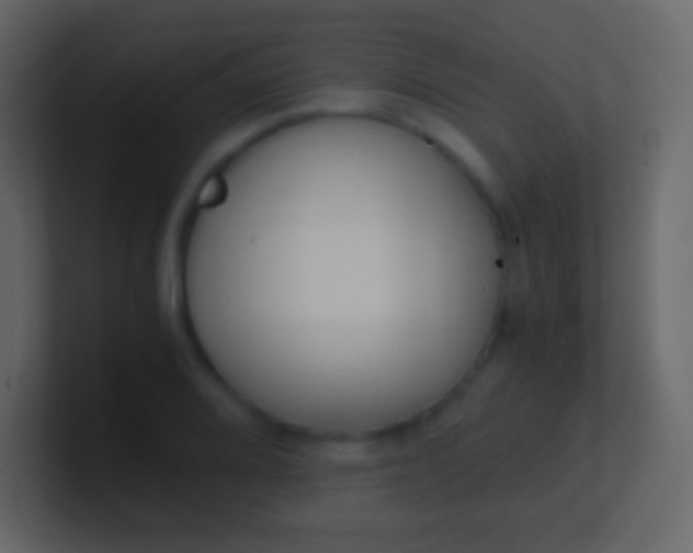 X0000100941080200807081229