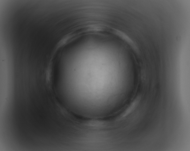 X0000100941081200807081229