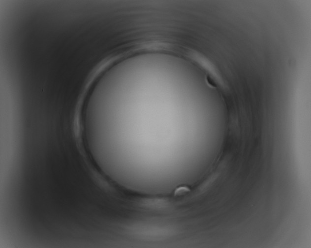 X0000100941082200807081229