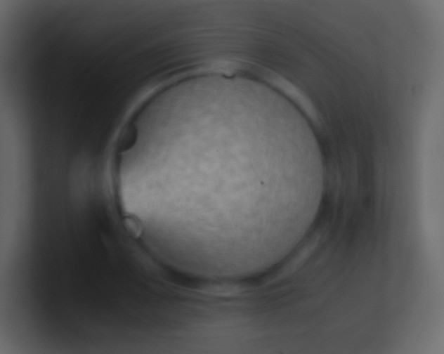 X0000100941083200807081229