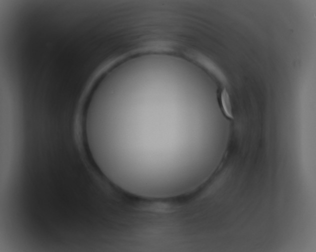 X0000100941085200807081229