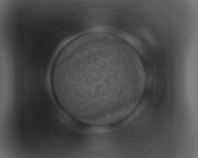 X0000100941086200807081229