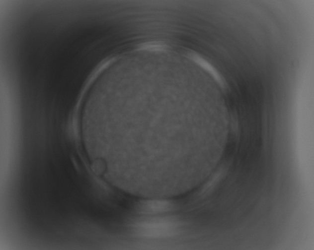 X0000100941090200807081229