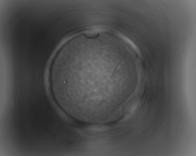 X0000100941091200807081229