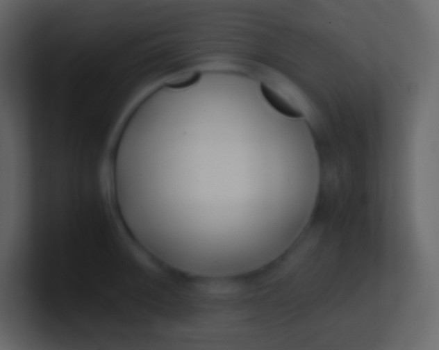 X0000100941092200807081229