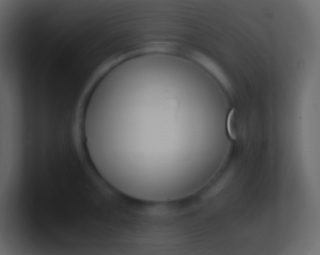 X0000100941093200807081229