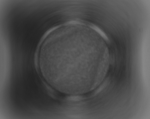 X0000100941094200807081229