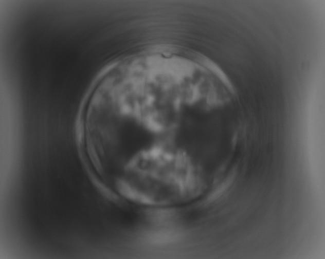 X0000100941095200807081229