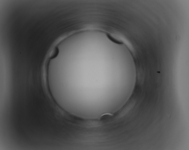 X0000100941096200807081229