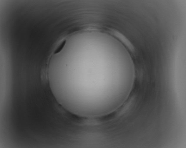 X0000100941097200807081229