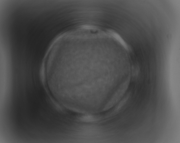 X0000100941098200807081229