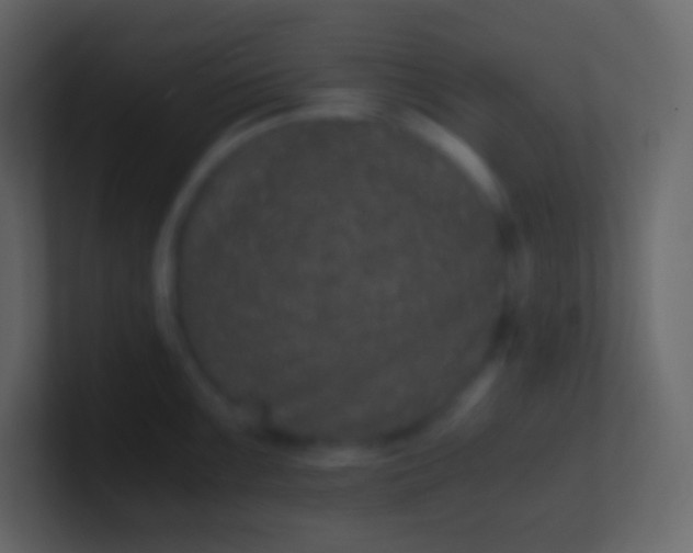 X0000100941099200807081229