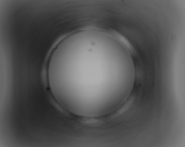 X0000100941100200807081229