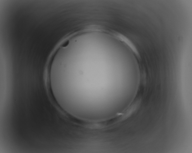 X0000100941101200807081229