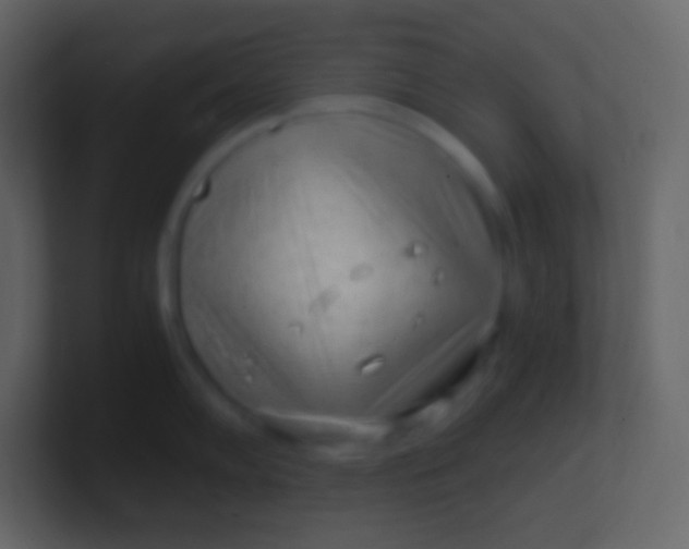 X0000100941102200807081229