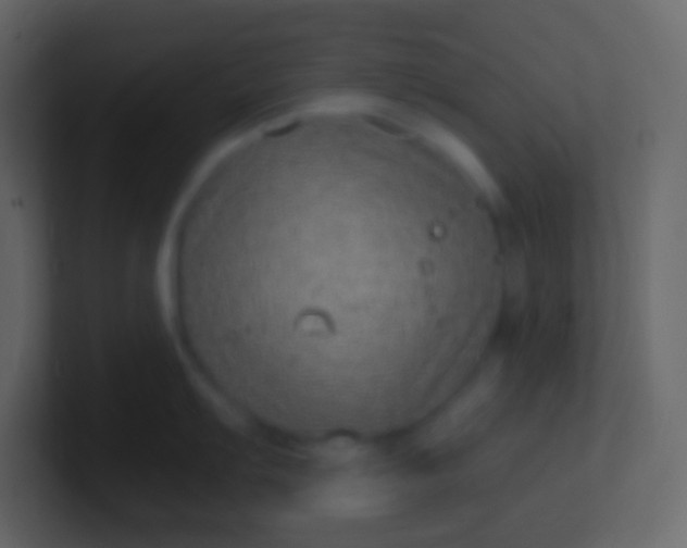 X0000100941103200807081229