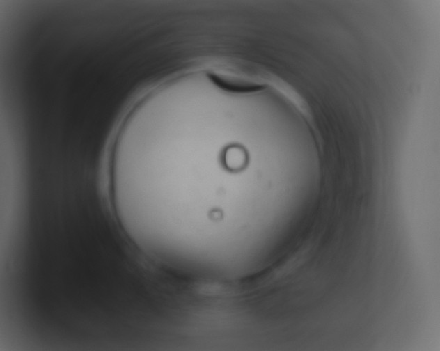 X0000100941104200807081229