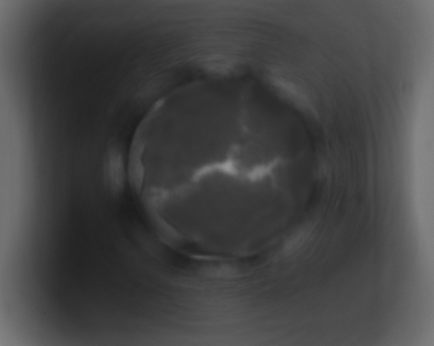 X0000100941106200807081228