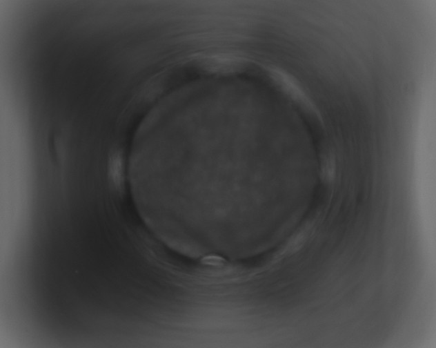 X0000100941108200807081228