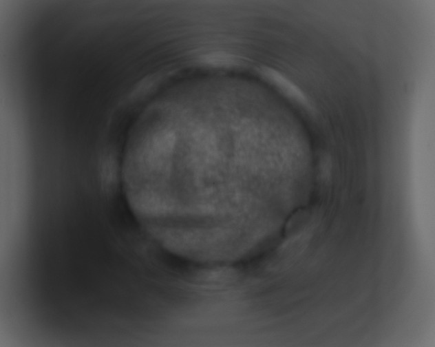 X0000100941110200807081228