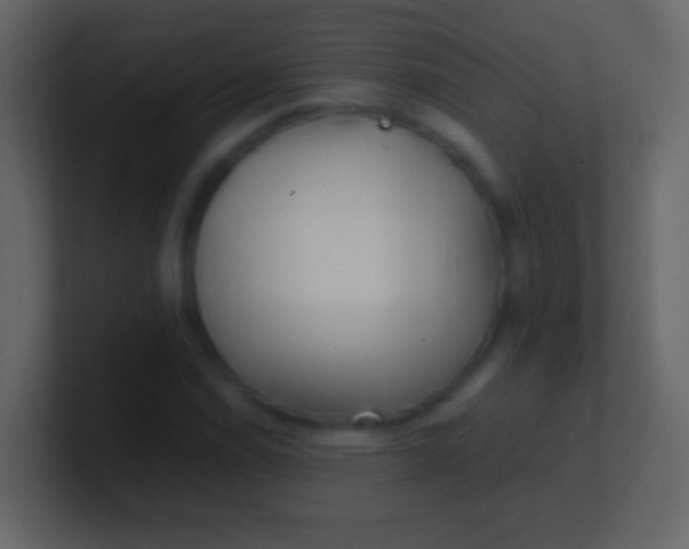 X0000100941114200807081228