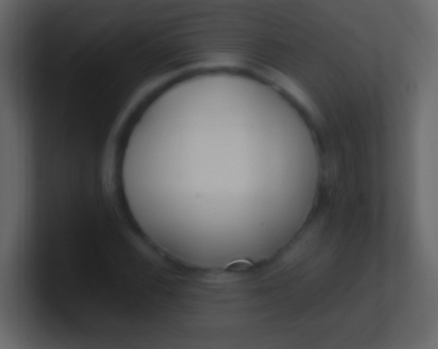 X0000100941116200807081229