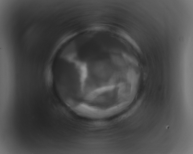 X0000100941117200807081229