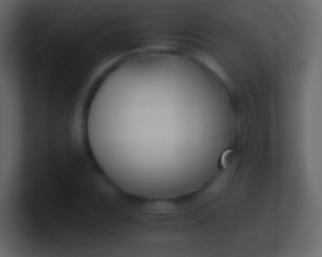 X0000100941119200807081229