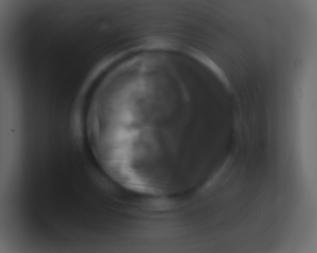 X0000100941120200807081229