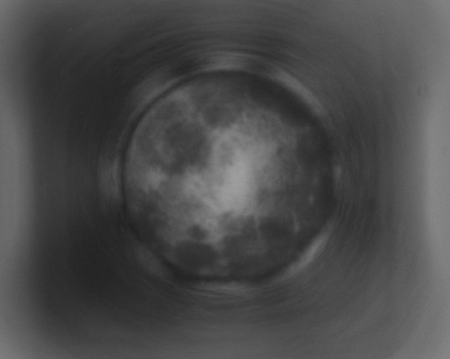 X0000100941121200807081229